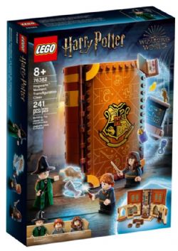 *** LEGO HARRY POTTER - POUDLARD : LE COURS DE MÉTAMORPHOSE #76382
